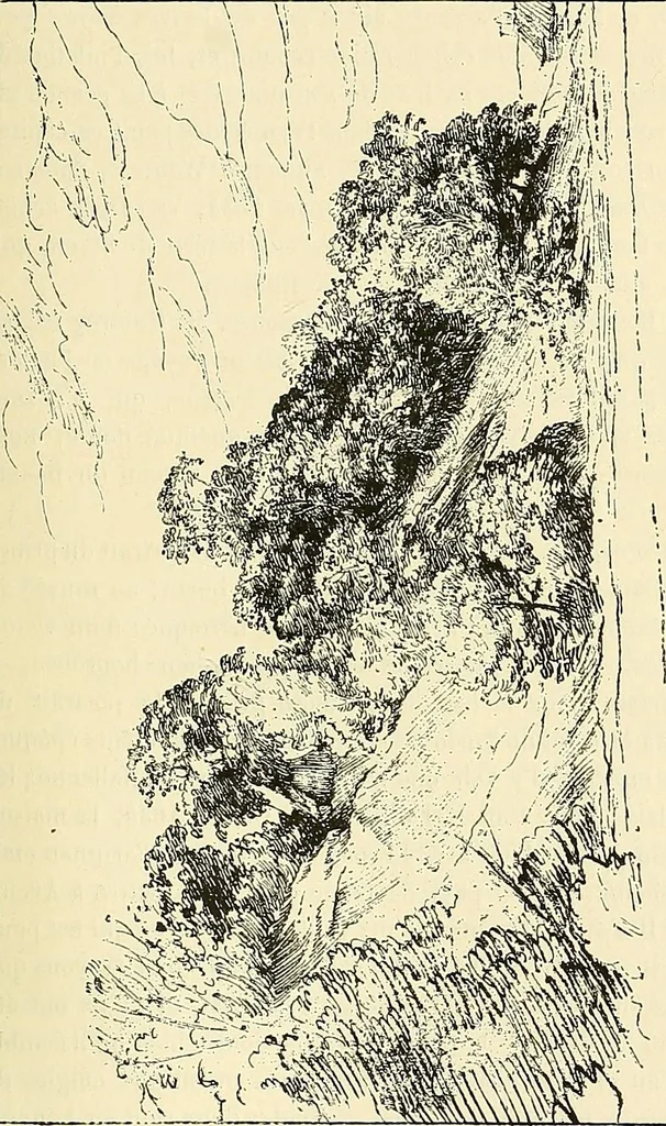 An illustration from Gazette des beaux-arts, 1859, leaf 553