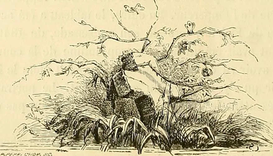 An illustration from Gazette des beaux-arts, 1859, leaf 146