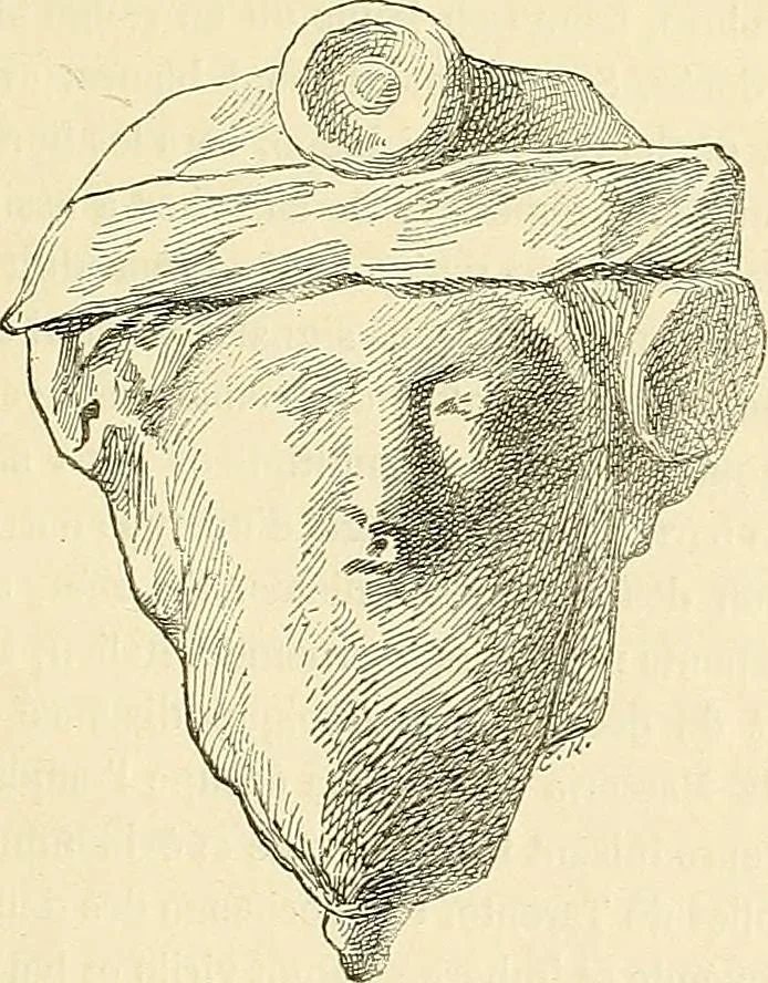 An illustration from Gazette des beaux-arts, 1859, leaf 225