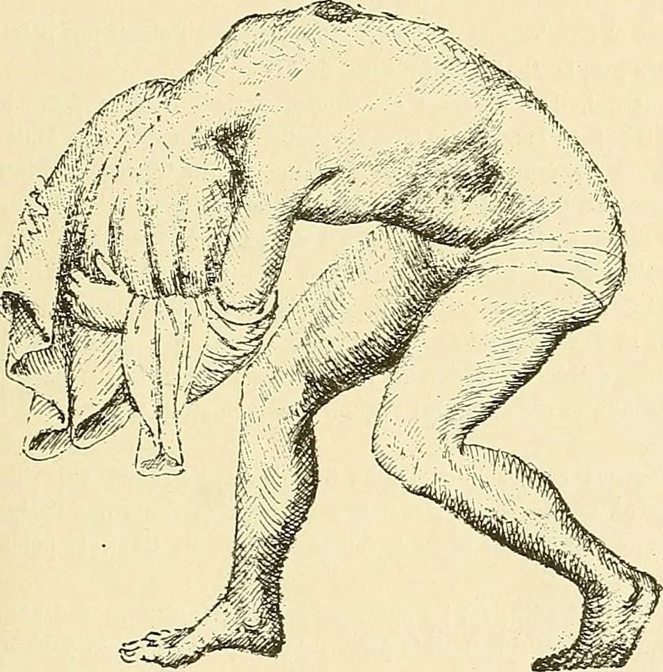 An illustration from Gazette des beaux-arts, 1859, leaf 245