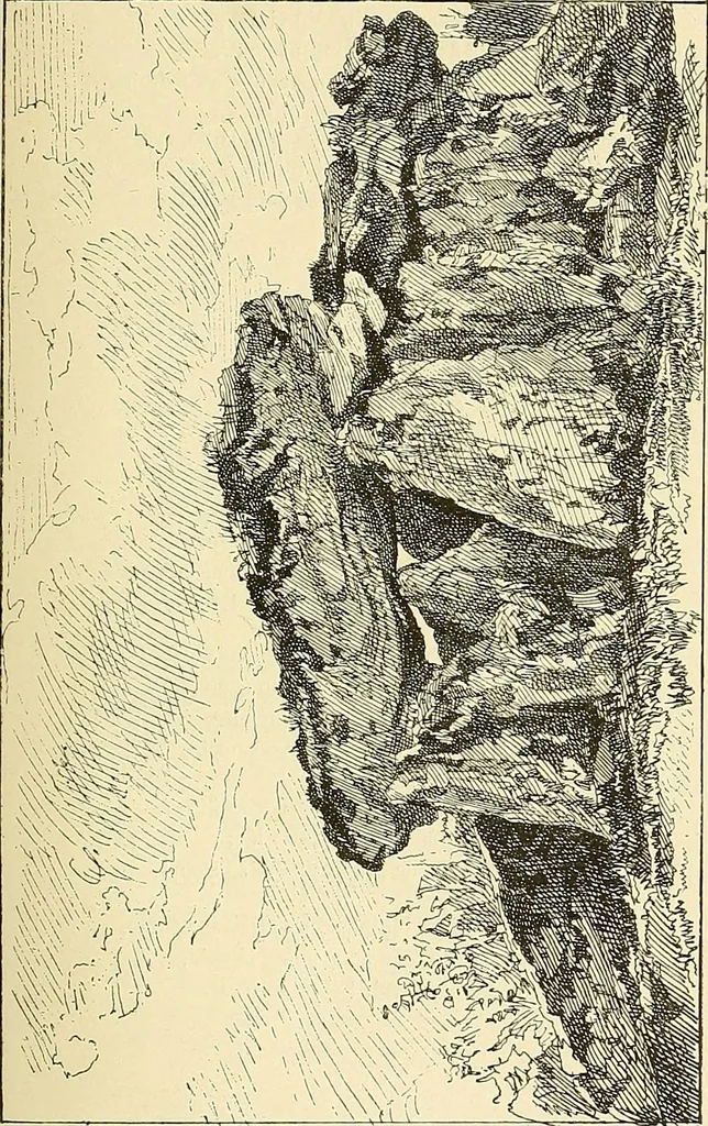 An illustration from Gazette des beaux-arts, 1859, leaf 371