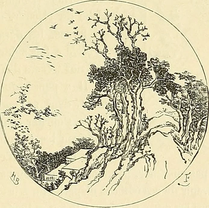 An illustration from Gazette des beaux-arts, 1859, leaf 389