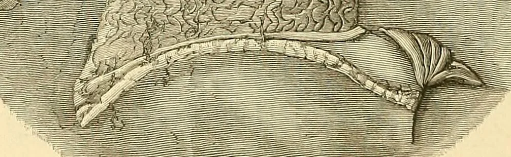 An illustration from Gazette des beaux-arts, 1859, leaf 412