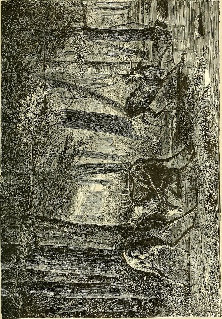 An illustration from Gazette des beaux-arts, 1859, leaf 557