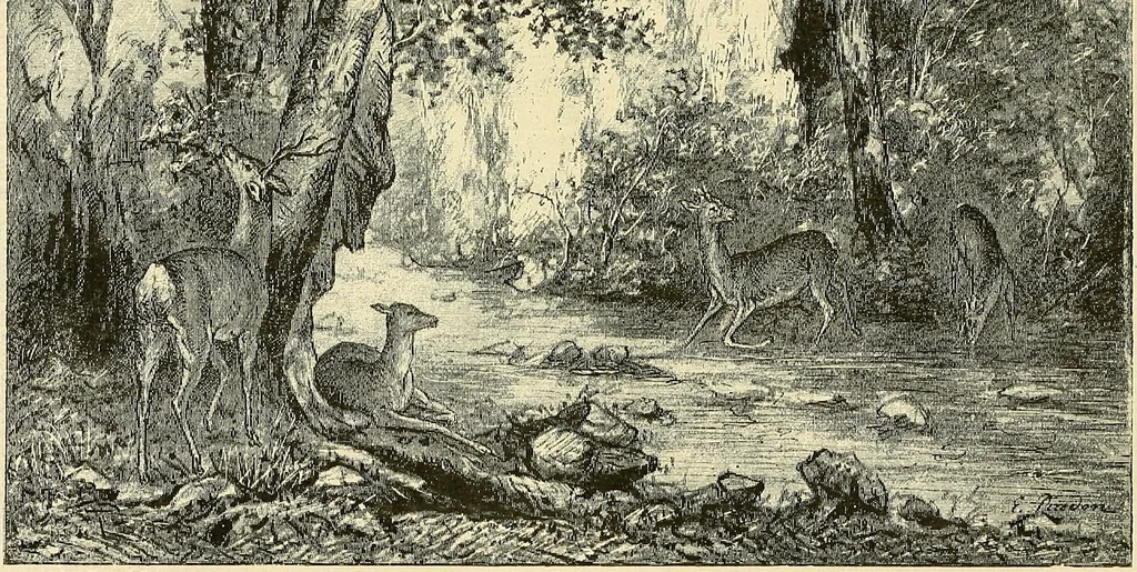 An illustration from Gazette des beaux-arts, 1859, leaf 559