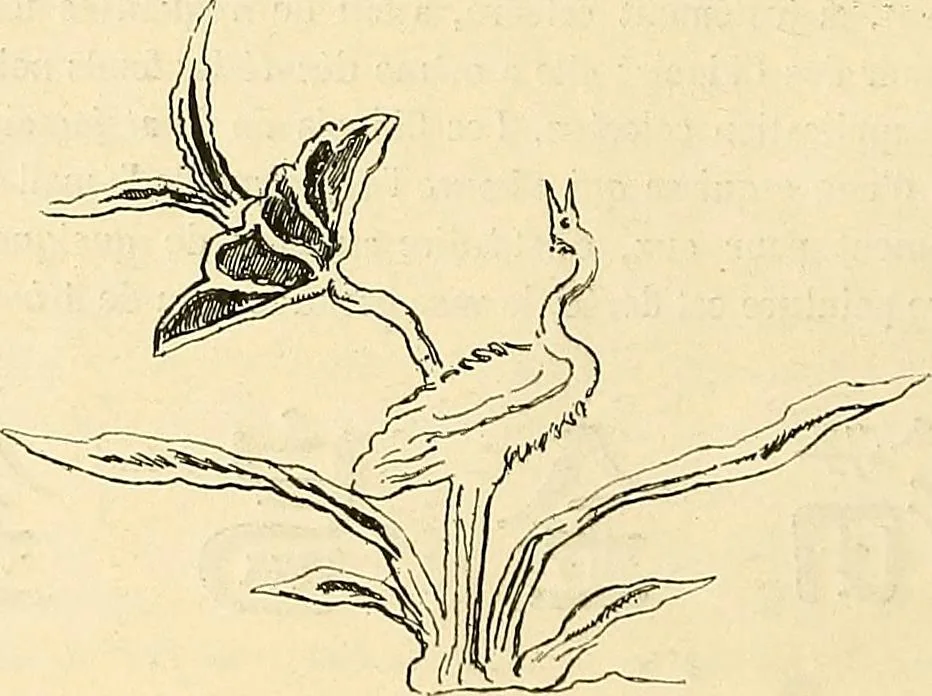 An illustration from Gazette des beaux-arts, 1859, leaf 62