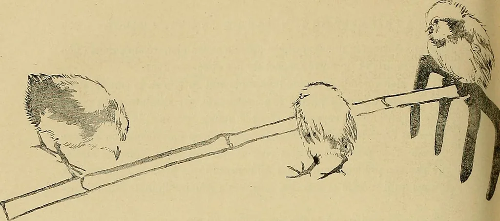 An illustration from Gazette des beaux-arts, 1859, leaf 328
