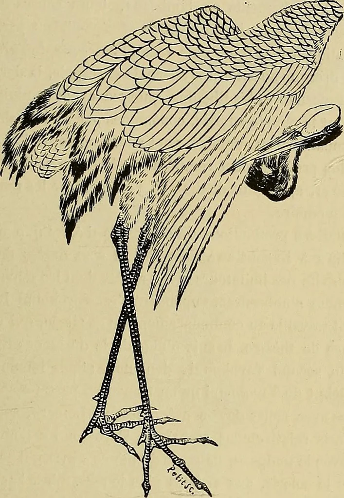 An illustration from Gazette des beaux-arts, 1859, leaf 335