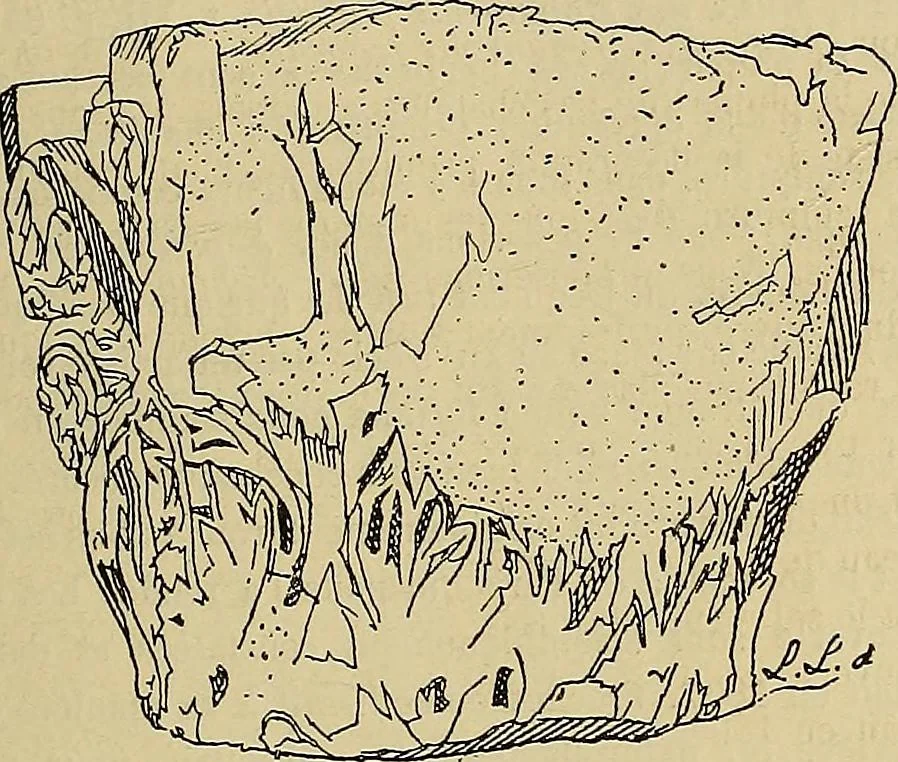 An illustration from Gazette des beaux-arts, 1859, leaf 51