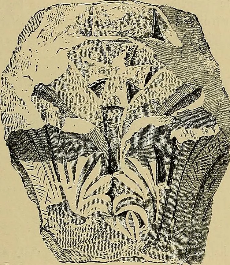 An illustration from Gazette des beaux-arts, 1859, leaf 53