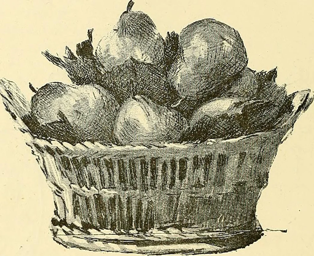 An illustration from Gazette des beaux-arts, 1859, leaf 167