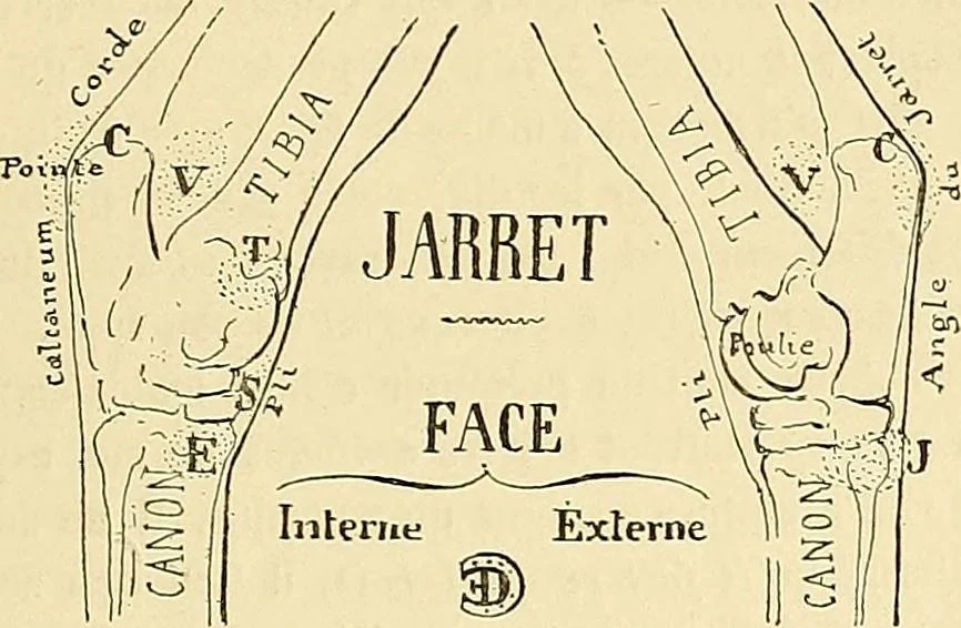 An illustration from Gazette des beaux-arts, 1859, leaf 272
