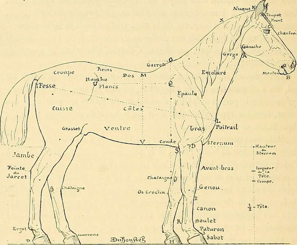 An illustration from Gazette des beaux-arts, 1859, leaf 277