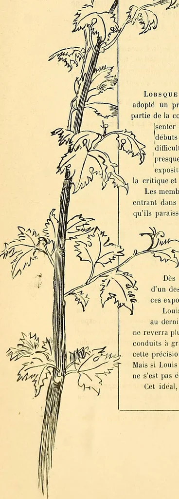 An illustration from Gazette des beaux-arts, 1859, leaf 295