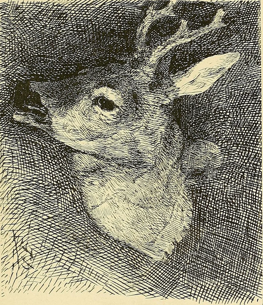 An illustration from Gazette des beaux-arts, 1859, leaf 462