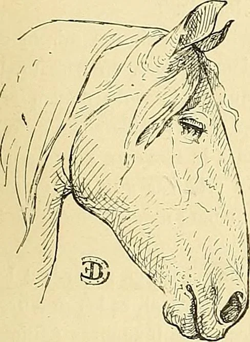 An illustration from Gazette des beaux-arts, 1859, leaf 474