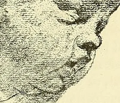 An illustration from Gazette des beaux-arts, 1859, leaf 50