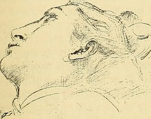 An illustration from Gazette des beaux-arts, 1859, leaf 550