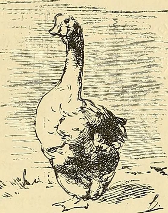 An illustration from Gazette des beaux-arts, 1859, leaf 560