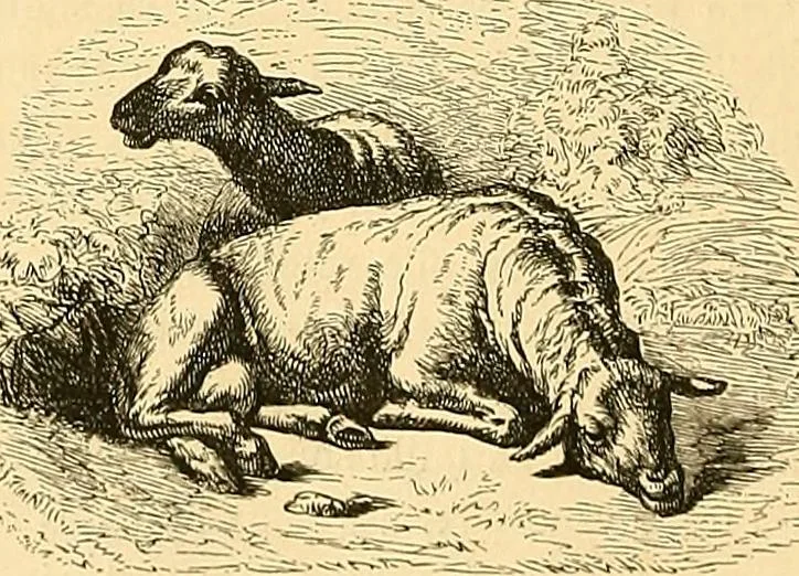 An illustration from Gazette des beaux-arts, 1859, leaf 579