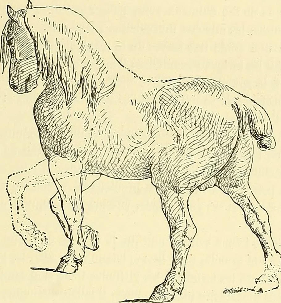 An illustration from Gazette des beaux-arts, 1859, leaf 62