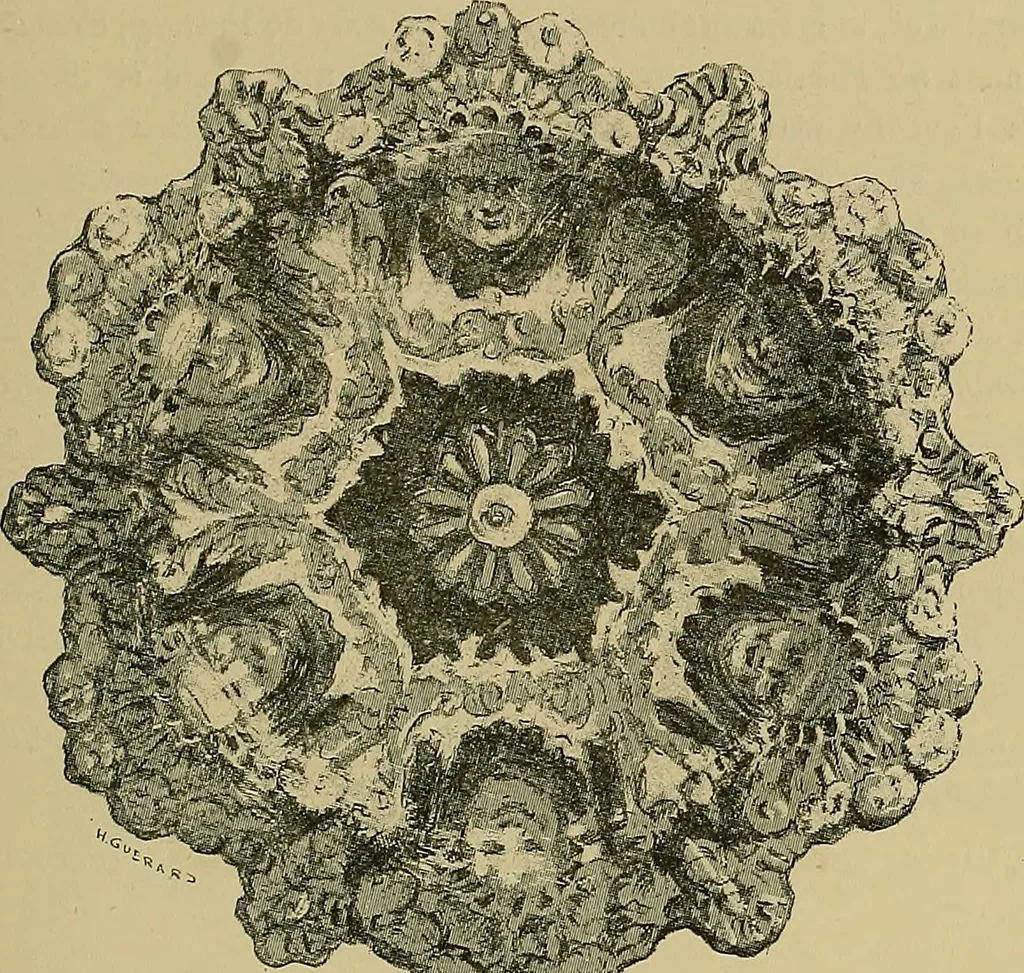 An illustration from Gazette des beaux-arts, 1859, leaf 272