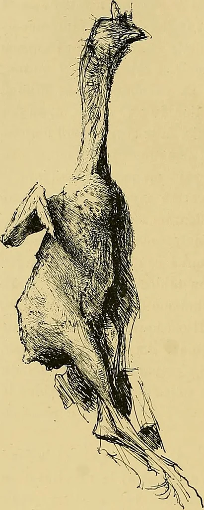 An illustration from Gazette des beaux-arts, 1859, leaf 289