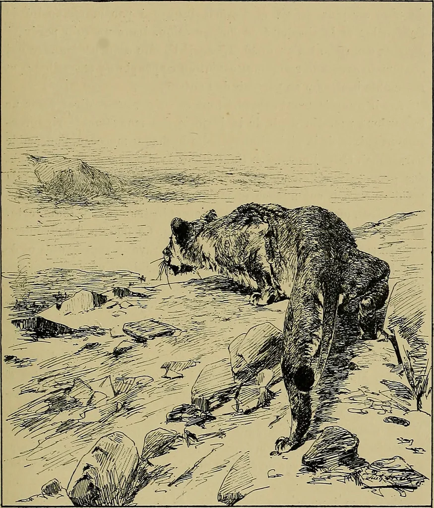 An illustration from Gazette des beaux-arts, 1859, leaf 520