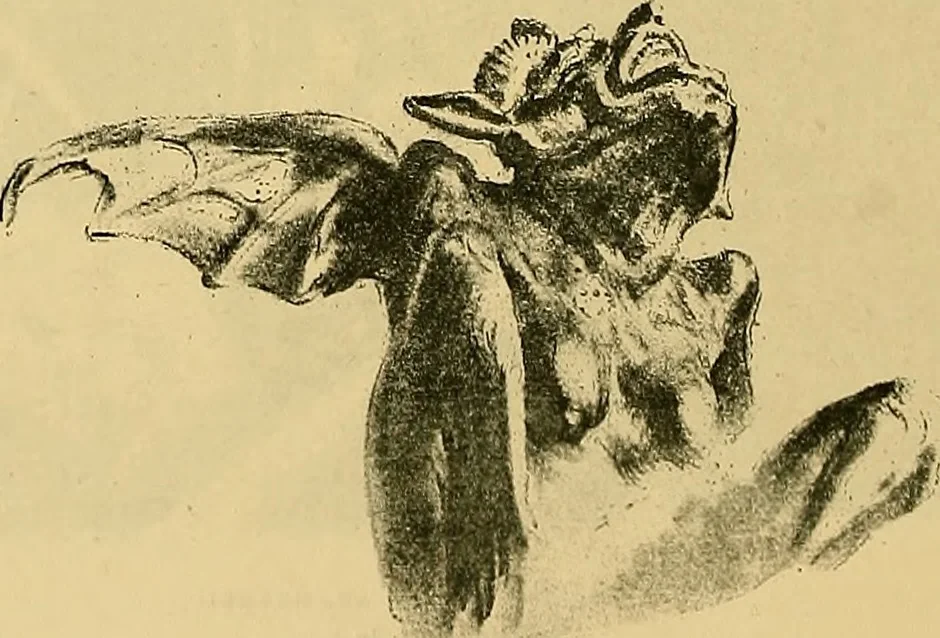An illustration from Gazette des beaux-arts, 1859, leaf 561