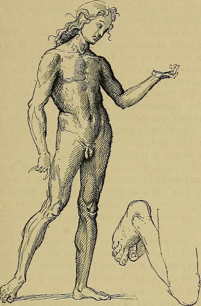 An illustration from Gazette des beaux-arts, 1859, leaf 204