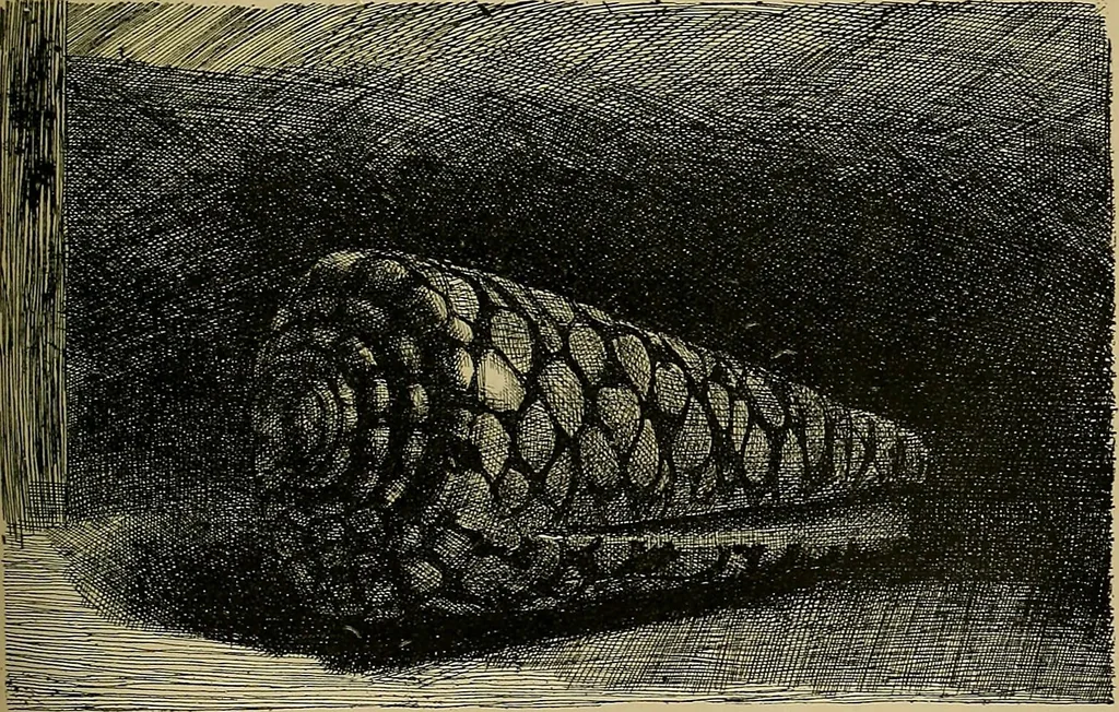 An illustration from Gazette des beaux-arts, 1859, leaf 550