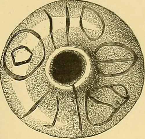 An illustration from Gazette des beaux-arts, 1859, leaf 197
