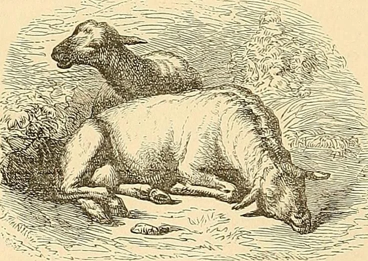An illustration from Gazette des beaux-arts, 1859, leaf 433
