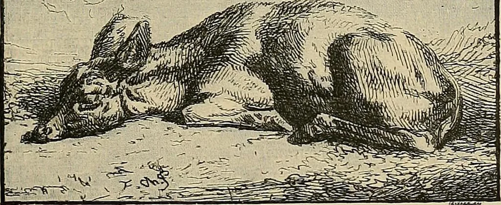 An illustration from Gazette des beaux-arts, 1859, leaf 536