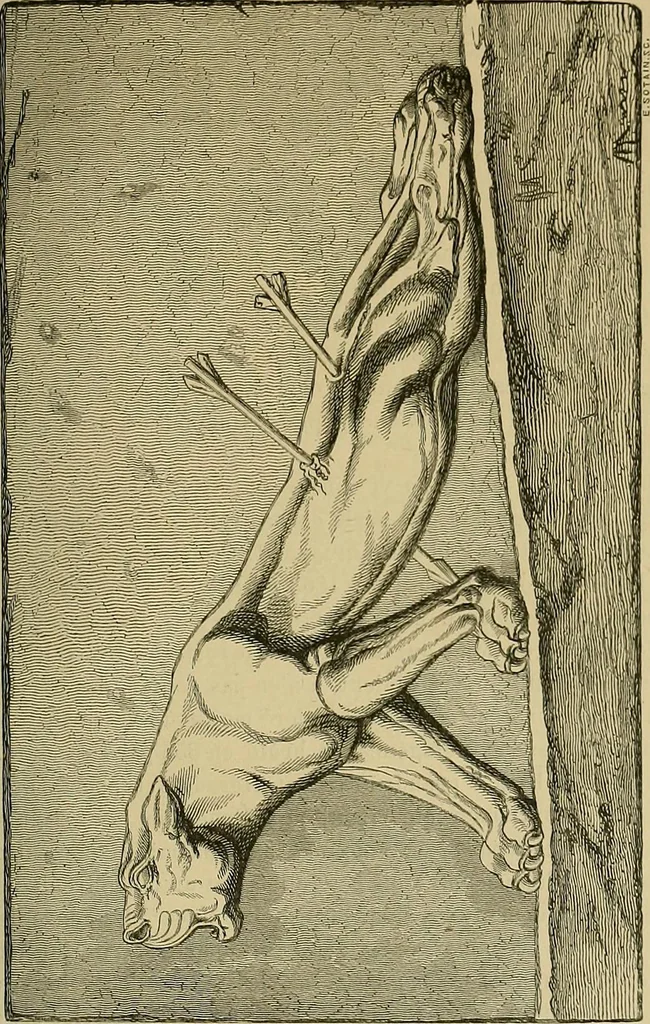 An illustration from Gazette des beaux-arts, 1859, leaf 106