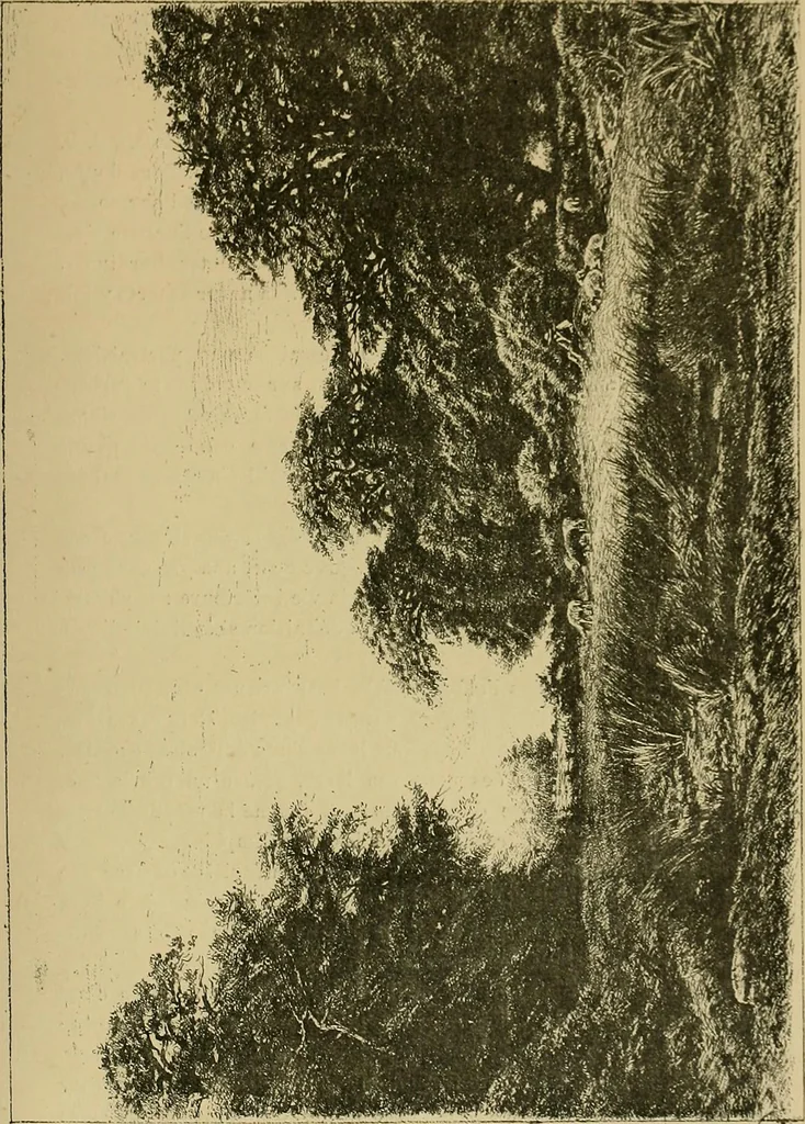 An illustration from Gazette des beaux-arts, 1859, leaf 532