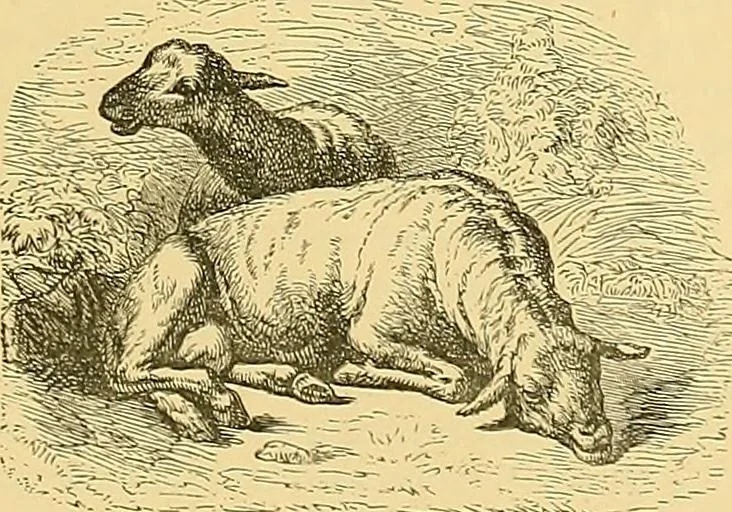 An illustration from Gazette des beaux-arts, 1859, leaf 267