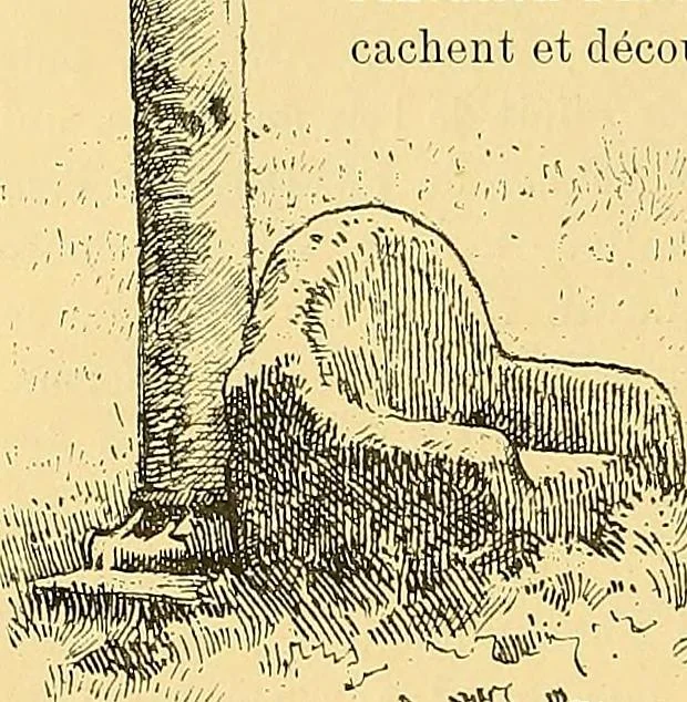 An illustration from Gazette des beaux-arts, 1859, leaf 308