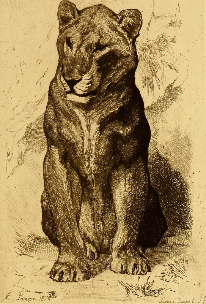 An illustration from Gazette des beaux-arts, 1859, leaf 339