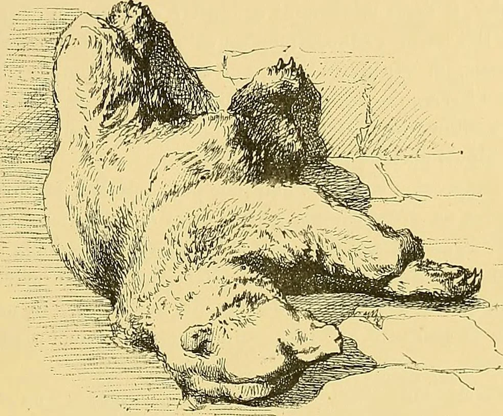 An illustration from Gazette des beaux-arts, 1859, leaf 347