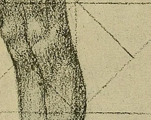 An illustration from Gazette des beaux-arts, 1859, leaf 46