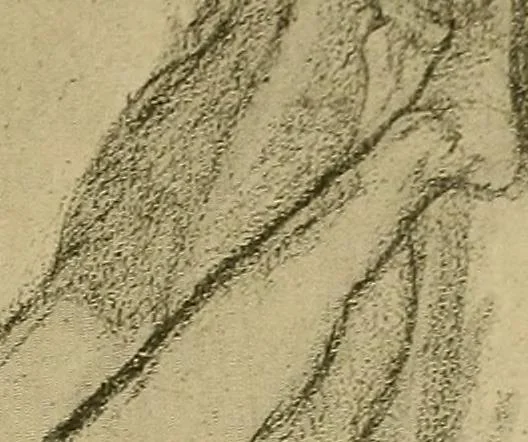 An illustration from Gazette des beaux-arts, 1859, leaf 50