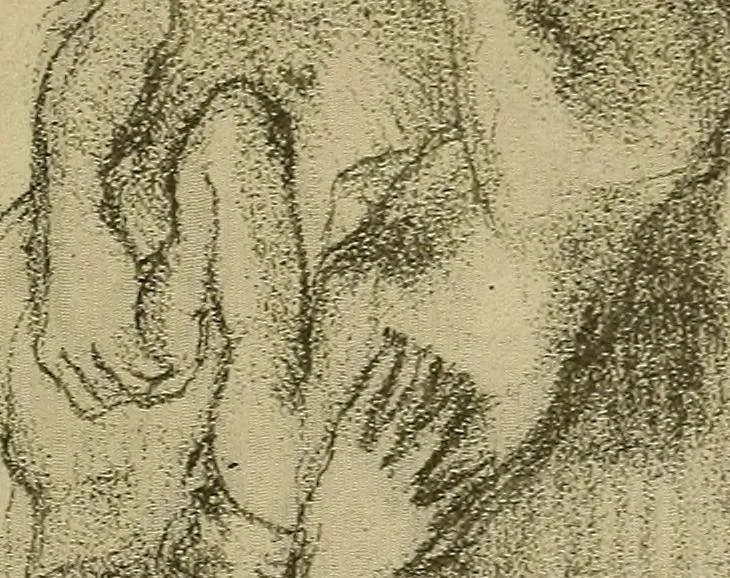 An illustration from Gazette des beaux-arts, 1859, leaf 50