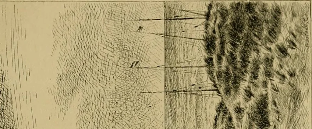 An illustration from Gazette des beaux-arts, 1859, leaf 302