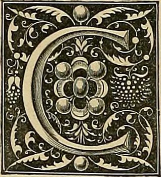An illustration from Gazette des beaux-arts, 1859, leaf 503