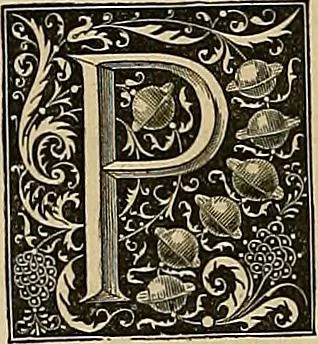An illustration from Gazette des beaux-arts, 1859, leaf 525