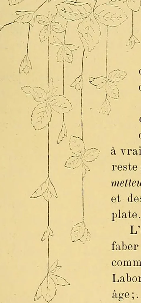 An illustration from Gazette des beaux-arts, 1859, leaf 465