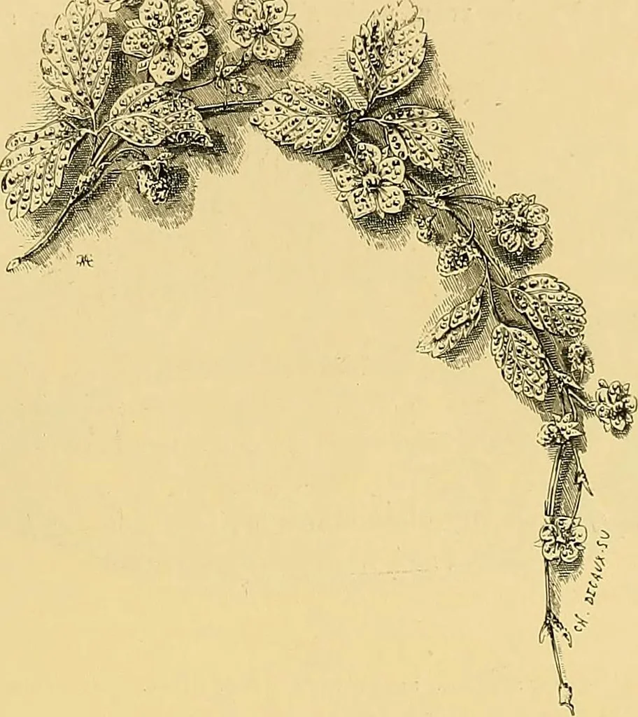 An illustration from Gazette des beaux-arts, 1859, leaf 489