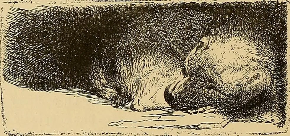 An illustration from Gazette des beaux-arts, 1859, leaf 473