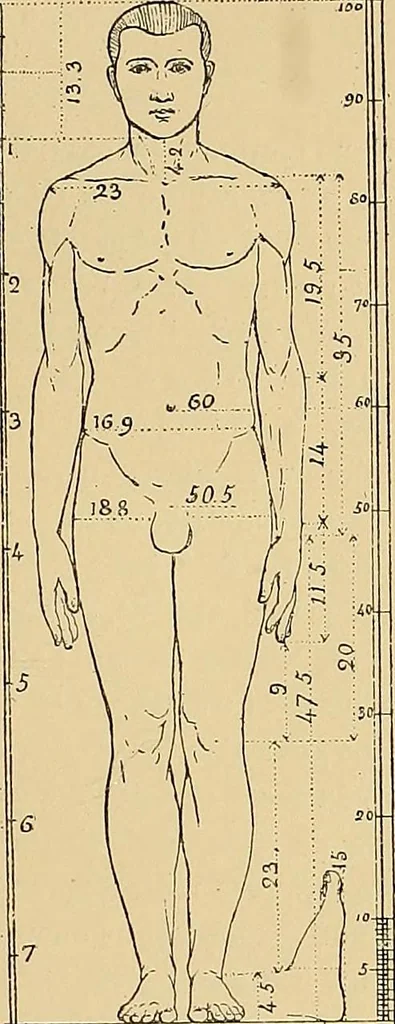 An illustration from Gazette des beaux-arts, 1859, leaf 82